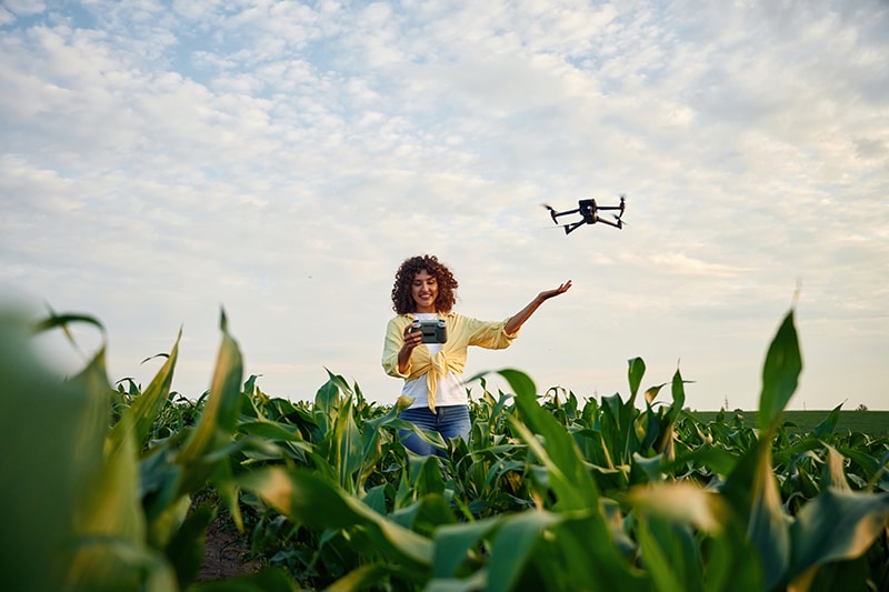 The future is here, using the drone. Woman is on the corn agricultural field